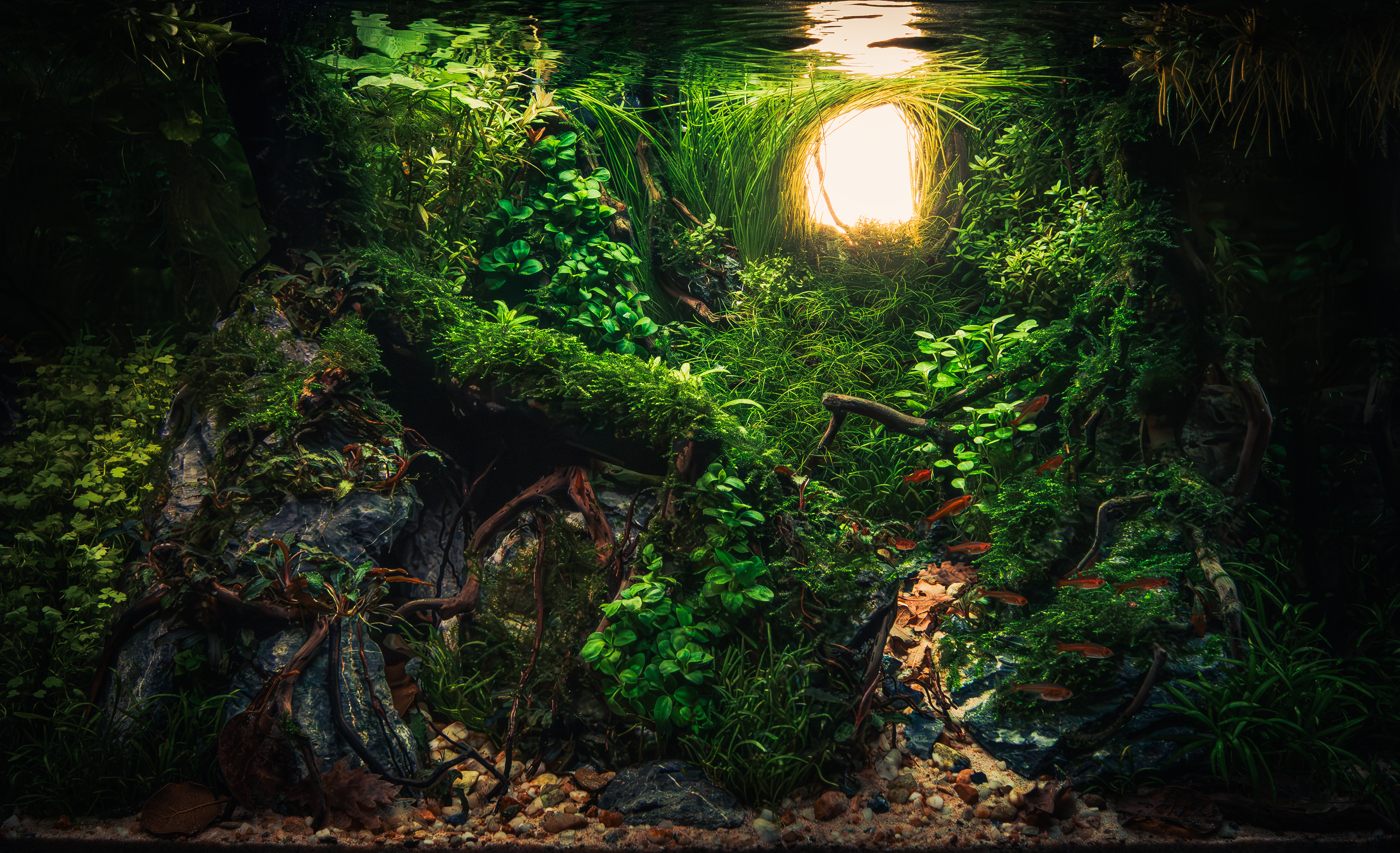 Dreams of Xuquer River by Victor Costa Barber β Small Category, Place 2
