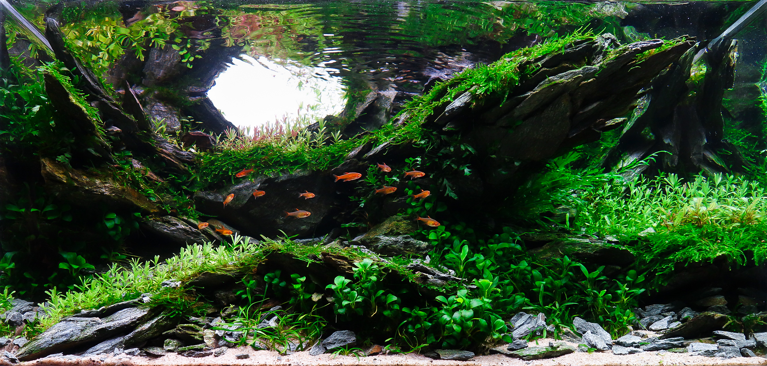 Edge of Collaps by Tomas Eichler β Small Category, Place 1