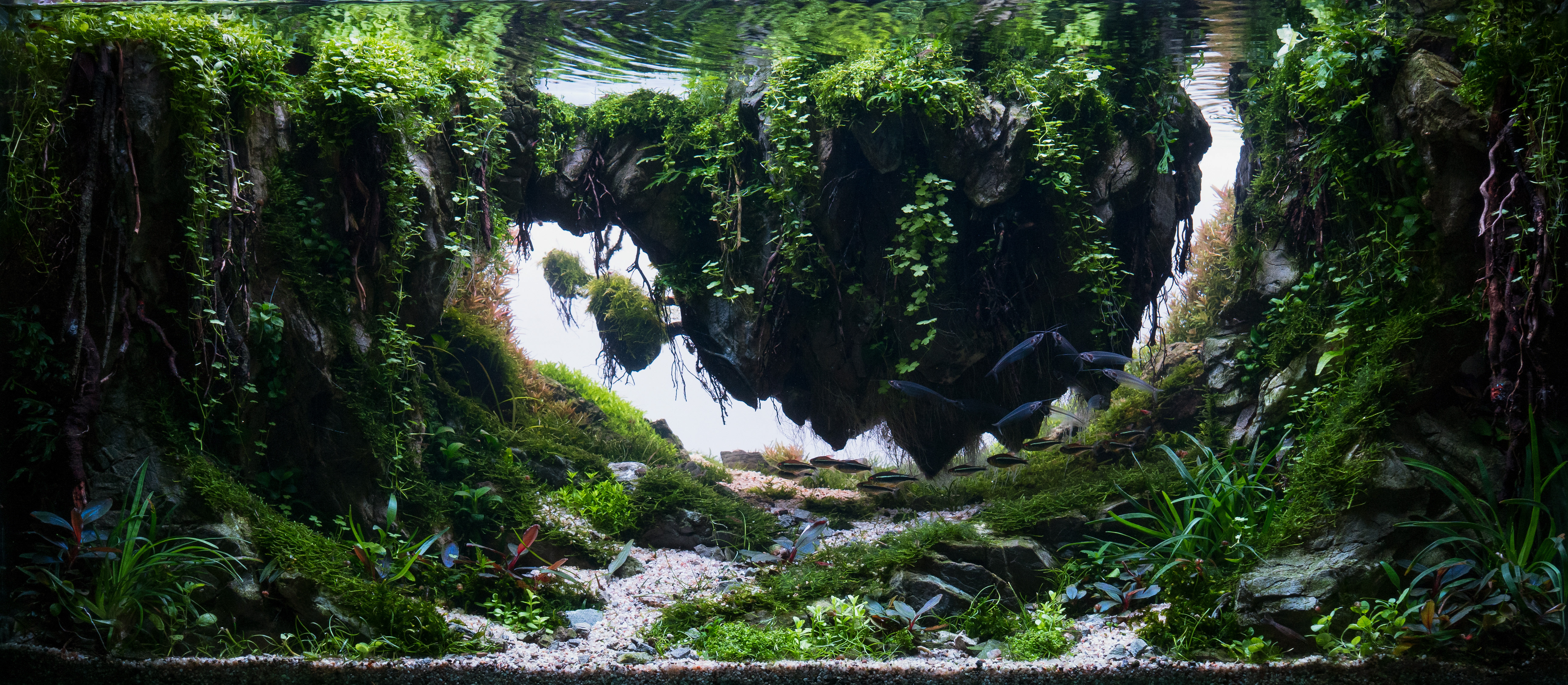 Gravity by Adrian Cristian Asaftei β Large Category, Place 1