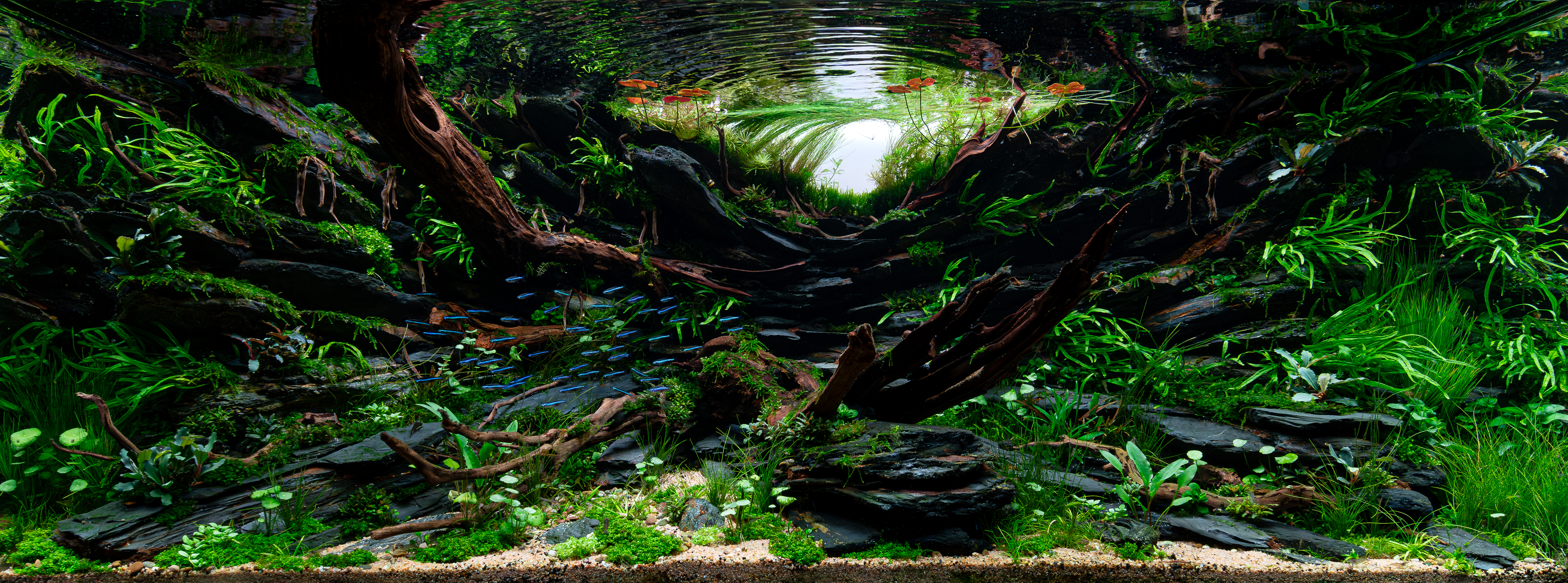 Unveiling by Karsten DΓΌnne β X-Large Category, Place 2
