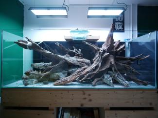 Hardscape First Sunset of November