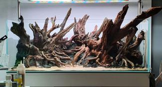 Hard scape