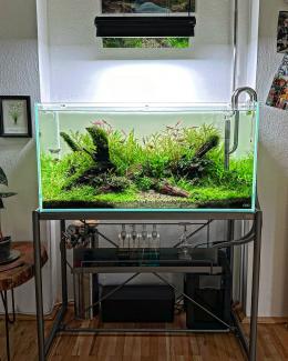 Aquascape 90p Cube Garden