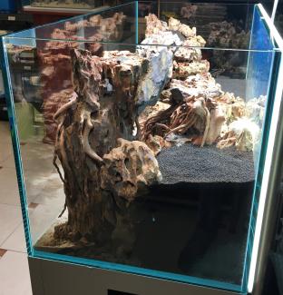 Right view of the hardscape