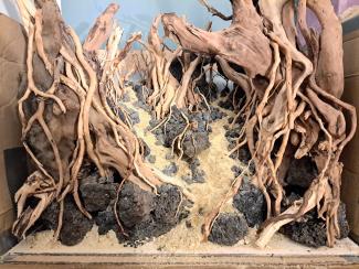 Final hardscape build, wood and roots entwined in-between lava rock