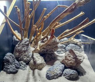 Hardscape in dojo