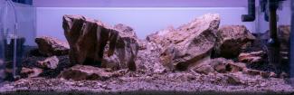 Tectonic Fracture - Jascha Gusmeroli EAPLC 2025 entry Hardscape only