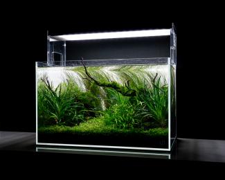 Entire layout from a different angle