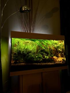 Evening shot 6