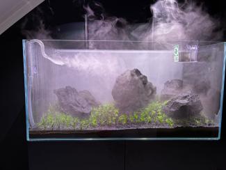 Drystart of the Tank