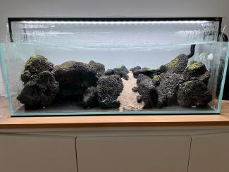 The aquascape during dry start