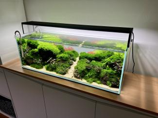 Different angle from the day of the final shot