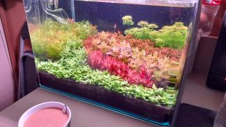 nano on my desktop with coffee