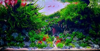 Between Two Worlds – where stone meets sea, and light meets shadow.