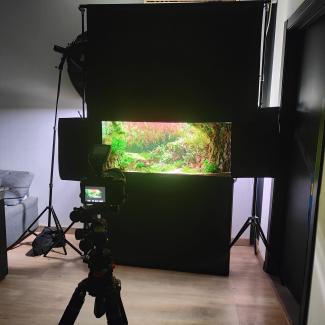 "Here is a photograph of the setup for the shot and the lighting used."