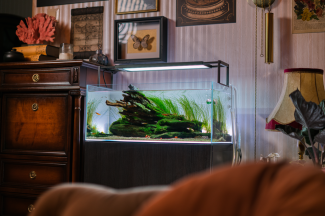 picture from the front right