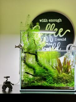 ADA Cube Garden Mini M Nature Tank