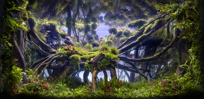 Emulation of the sunrise where the lights are cross the forest and fog creating shadows and reflections comming from the rear part of the scape.