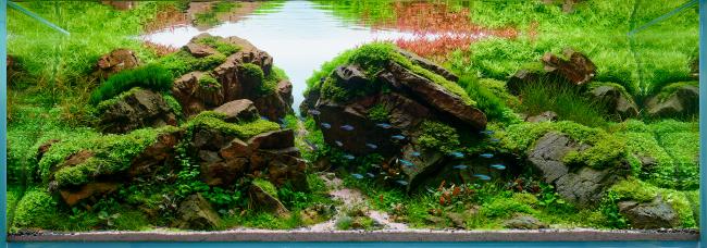 Erosion 2025
