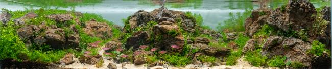 You can see an aquarium in diorama style. The layout consists of three hills with a plateau and a forest in the background