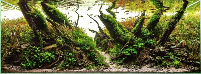 A Nature layout full of colour, textures and detail.