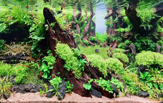 The route is the goal