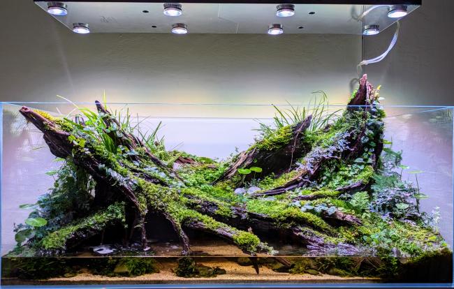 Full display of the Paludarium 