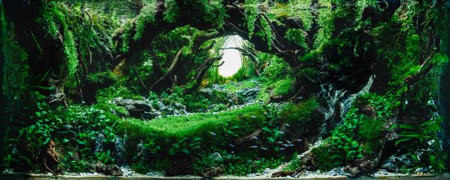 Lost world by Raúl Gargallo