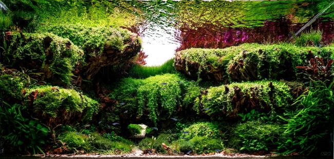 The reproduction of a landscape depicting the entrance to a cave that serves as a passage beyond a gorge full of natural terraces covered by thick vegetation.