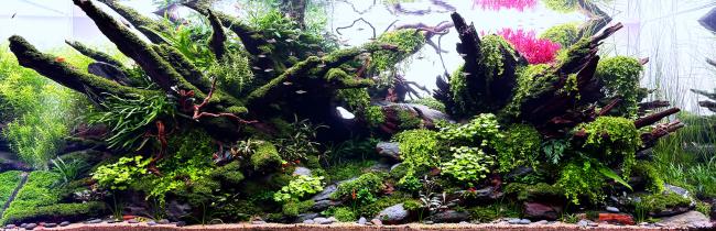 Allfa akvarium 