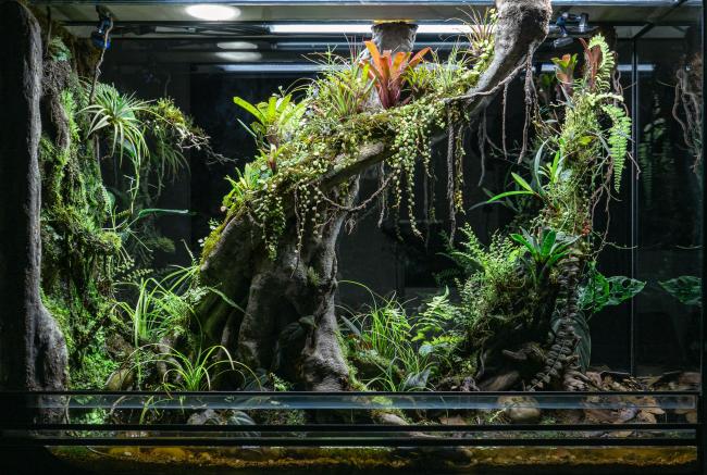 Paludarium, front