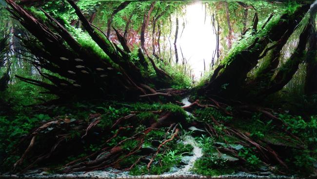 nature aquarium in layout of the letter X