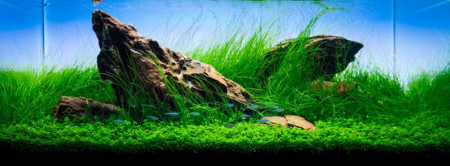 Adam Dziadek - The weight of silence