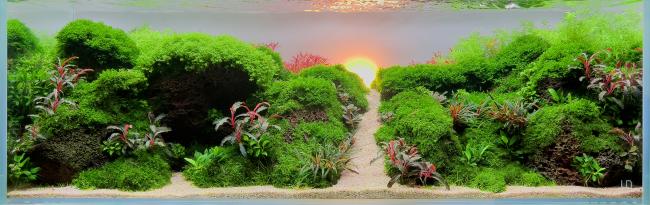 An aquascape that mimics a lush green valley with a winding path leading toward a glowing sunrise on the horizon.