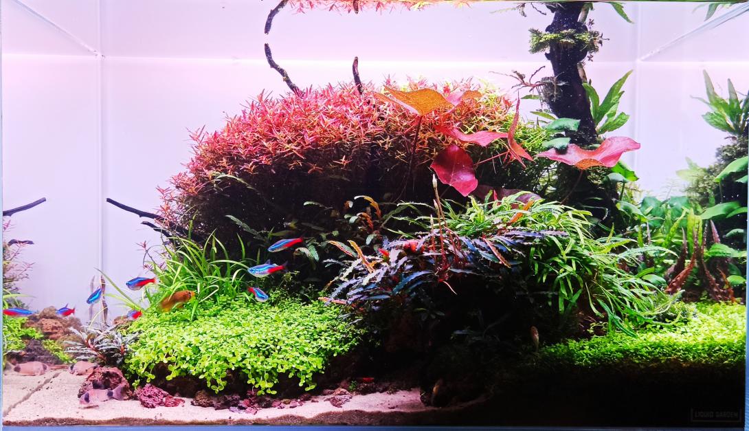 New Terrain New Terrain