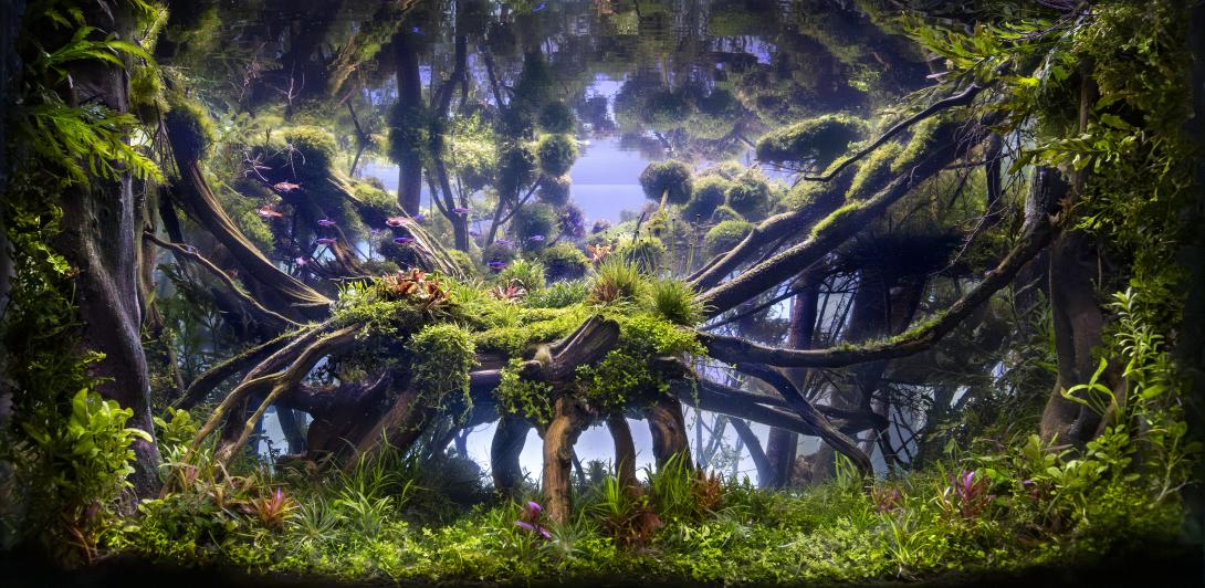 Emulation of the sunrise where the lights are cross the forest and fog creating shadows and reflections comming from the rear part of the scape.