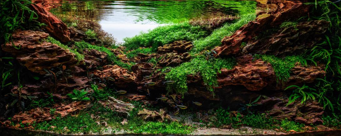 Dragon Stone Rock Scape