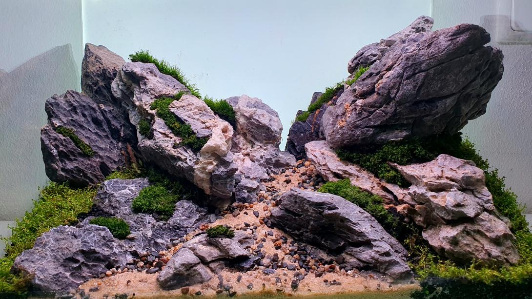 A valley built from heavy stones, mosses are growong over them , green carpets on the sides