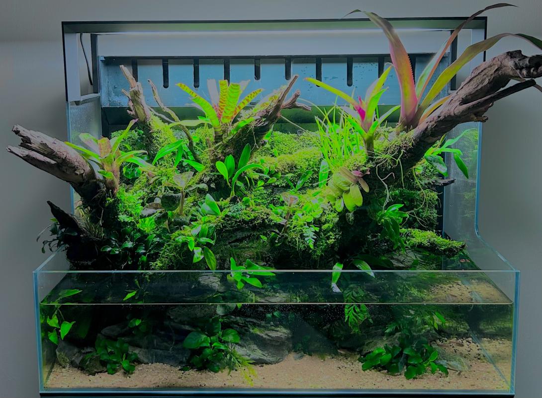 Paludarium