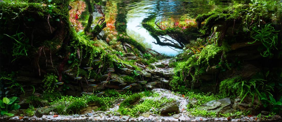 created an underwater image of a river flowing in to a lake