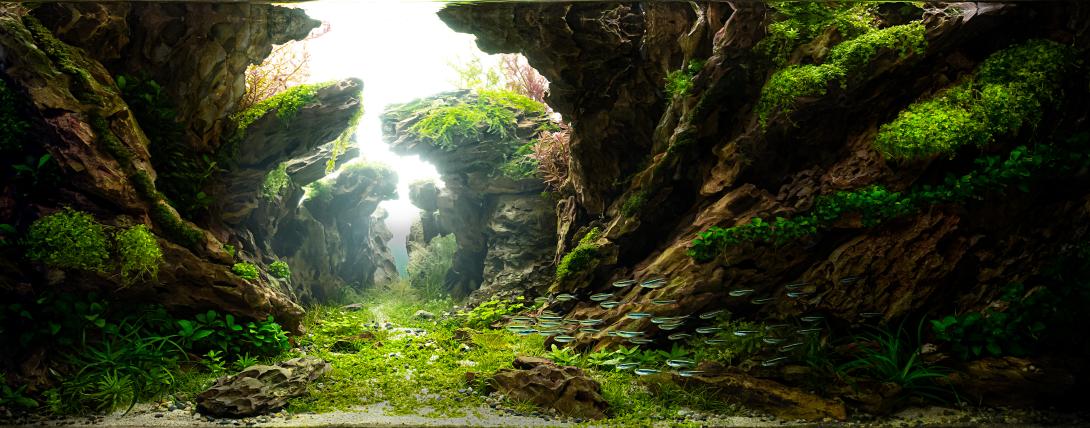 Inspired by the Oracle of the South from the movie The Neverending Story