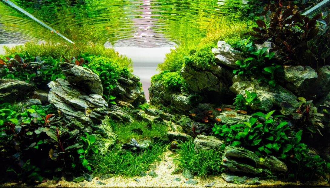 Dynamic Canyon scape with many details