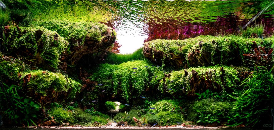 The reproduction of a landscape depicting the entrance to a cave that serves as a passage beyond a gorge full of natural terraces covered by thick vegetation.