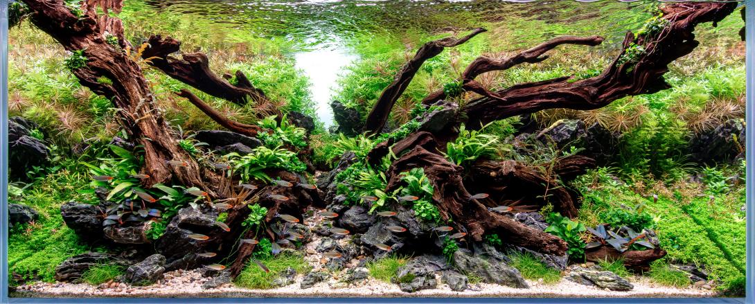 the kraken is released to nature with its sheer force.