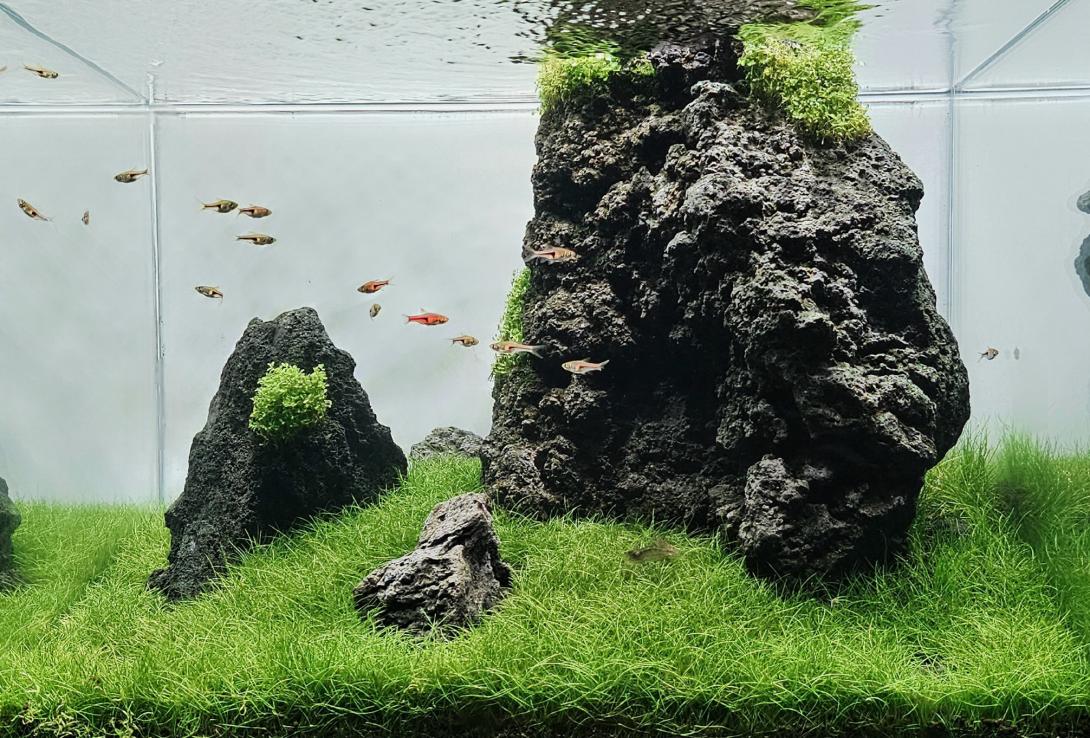 I love Mountain and I wanted to recreate a Mountain layout 