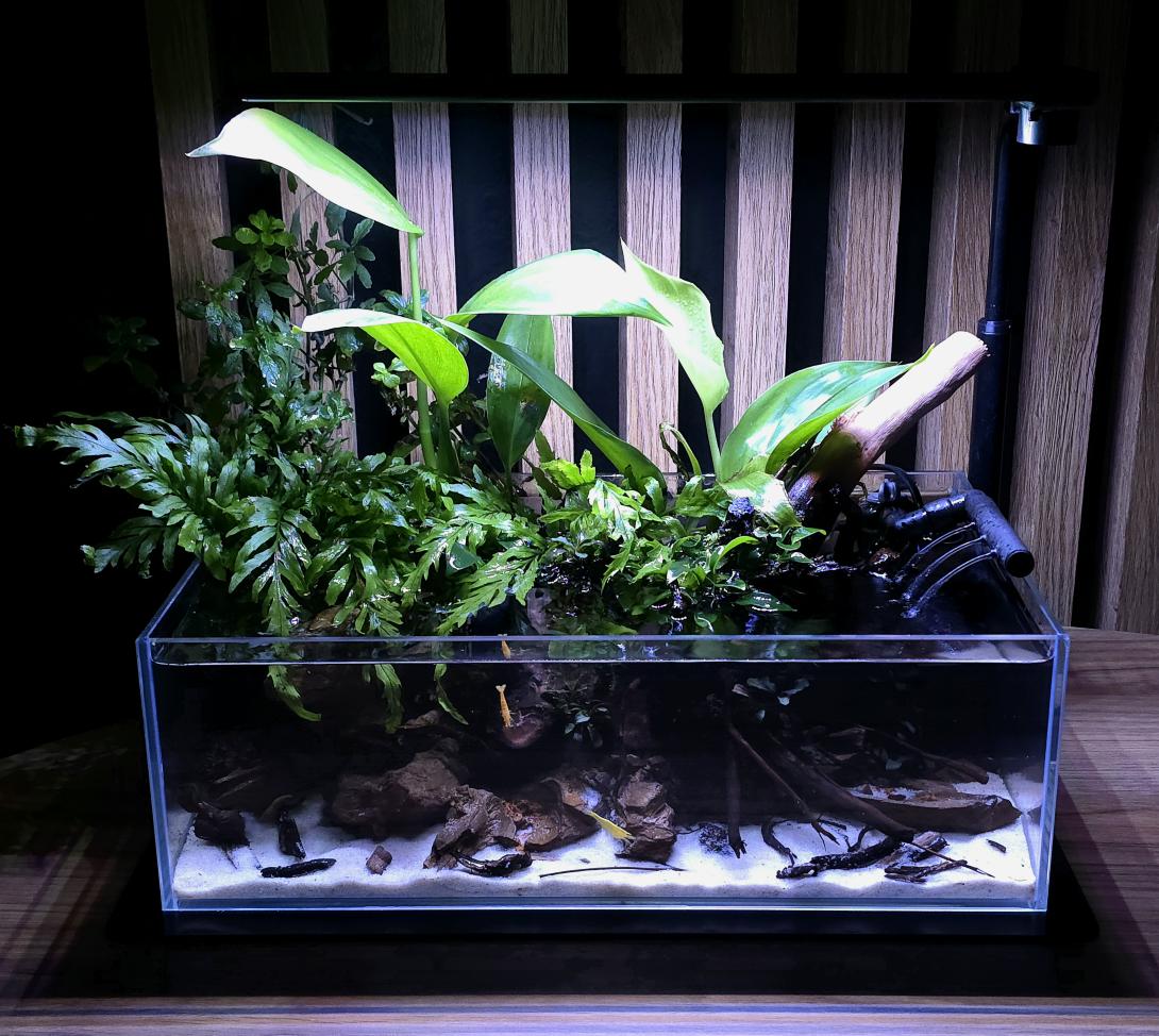 Wild shallow made by Kamil Niedzielski