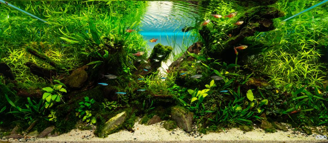 Eaplc_ Sebastian_Hopf_dancimg_water