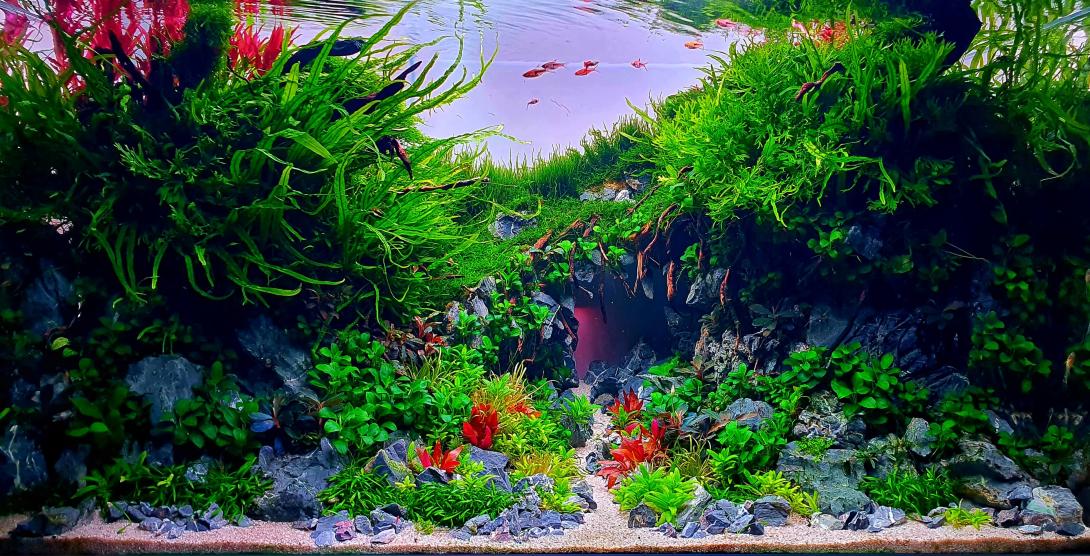 Between Two Worlds – where stone meets sea, and light meets shadow.