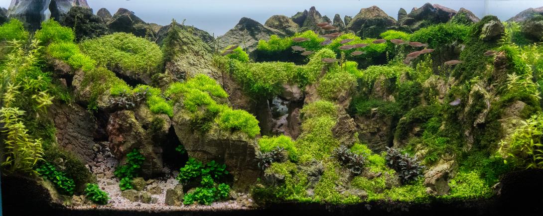 "Le royaume de Jade" - A French-style "full-rock" decoration